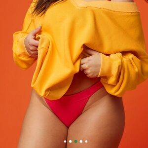 Aerie NWT Crinkle Banded Cheeky Bikini Bottom SIZE XL